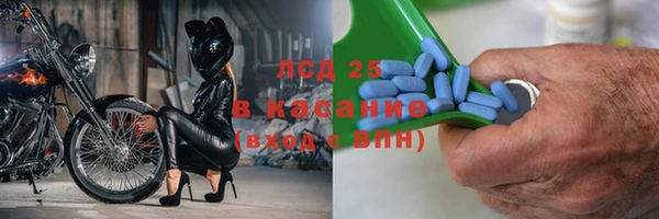 хмурый Арсеньев