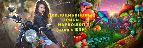 СК Алзамай