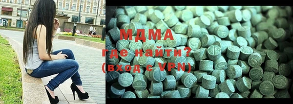 хмурый Арсеньев
