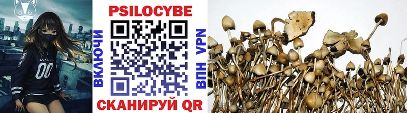Псилоцибиновые грибы прущие грибы  Купить где  Мелеуз 